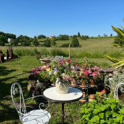 Jardins & Santé : portes ouvertes de jardins privés