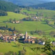 31ème marche des Sapins