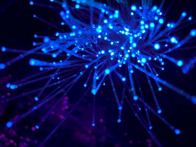 Nouveau secteur éligible à la fibre 