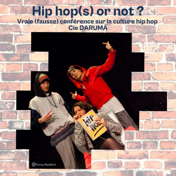 Hip hop(s) or not ? Vendredi 3 mars - 20h30 - St Maurice les Châteauneuf