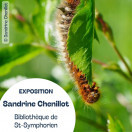 Exposition : le grand monde des petites bêtes