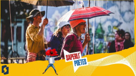 Saperli'Poètes : Hypothèses(s)