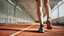 Les équipements sportifs